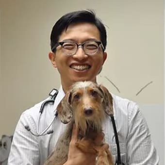 Dr. Preston Choi, Diamond Bar Veterinarian