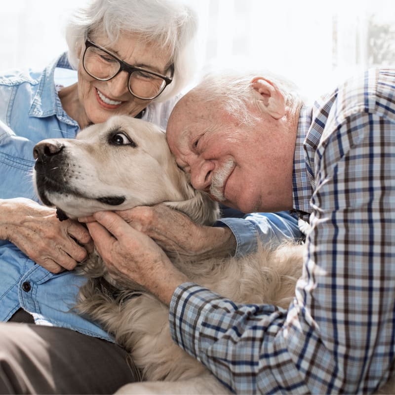 Geriatric Care for Pets in Diamond Bar